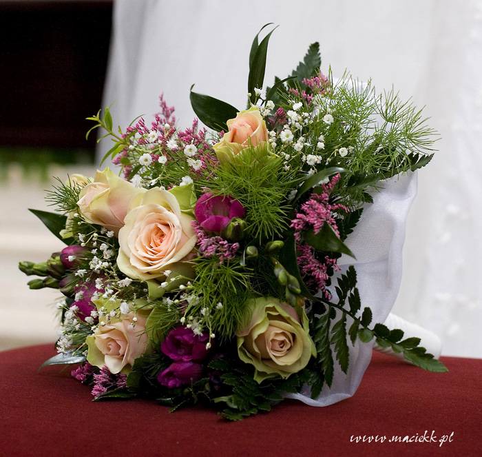 IMG_10051 copy